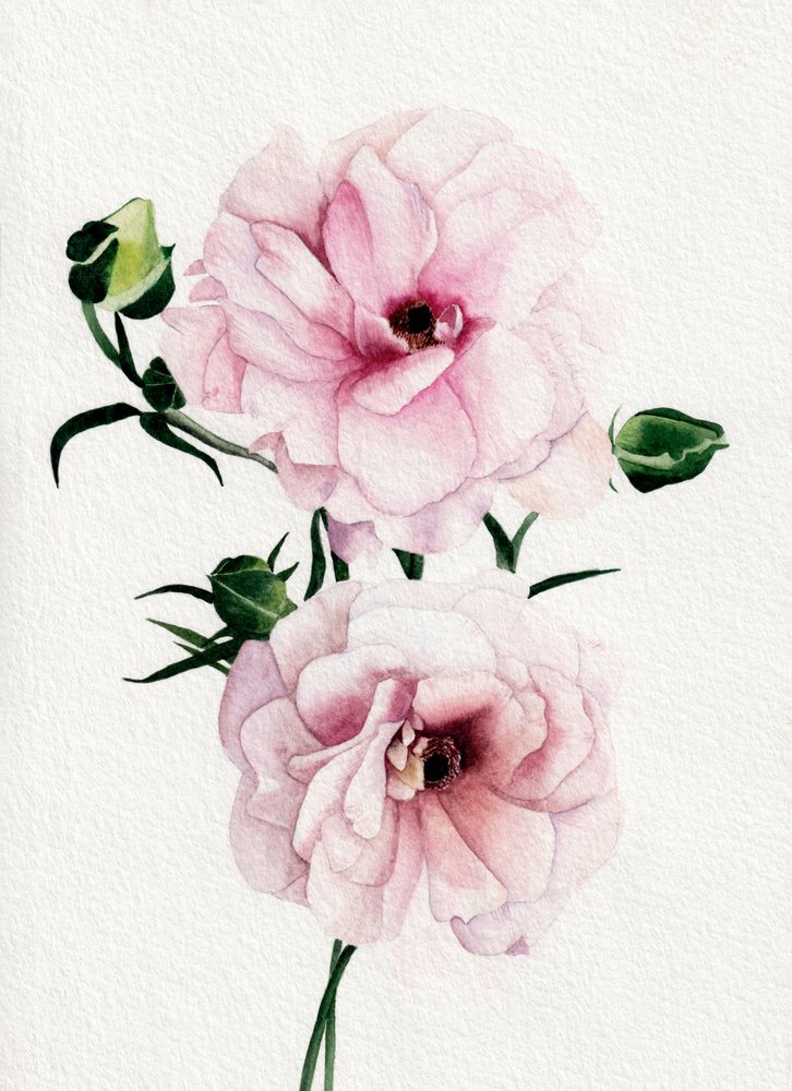 Roze bloemen in aquarel door Salome