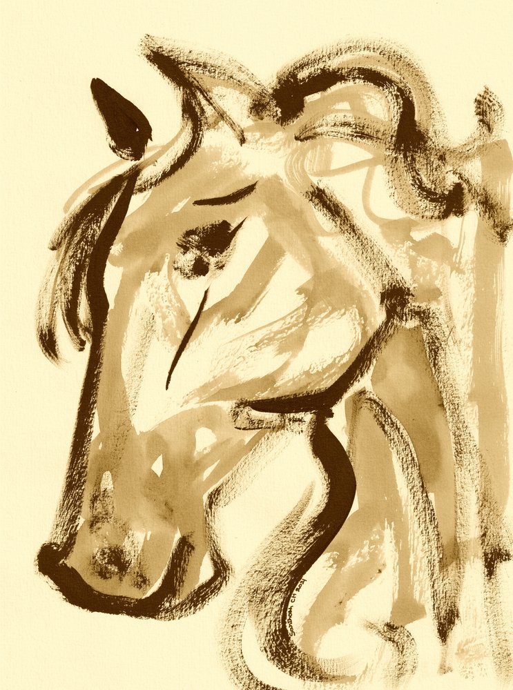 Elegant paardenprofiel door Santhosh ch