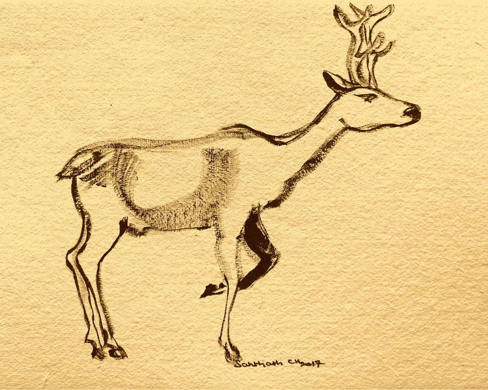 Elegante bosbok door Santhosh ch