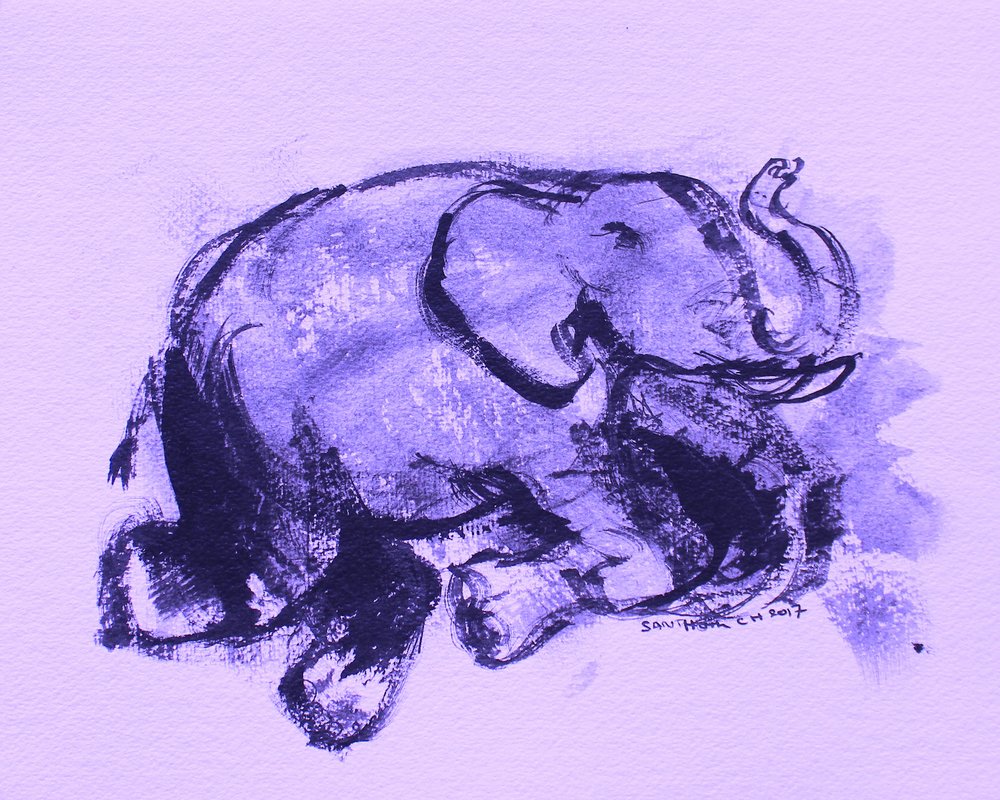 Olifant 42 door Santhosh ch