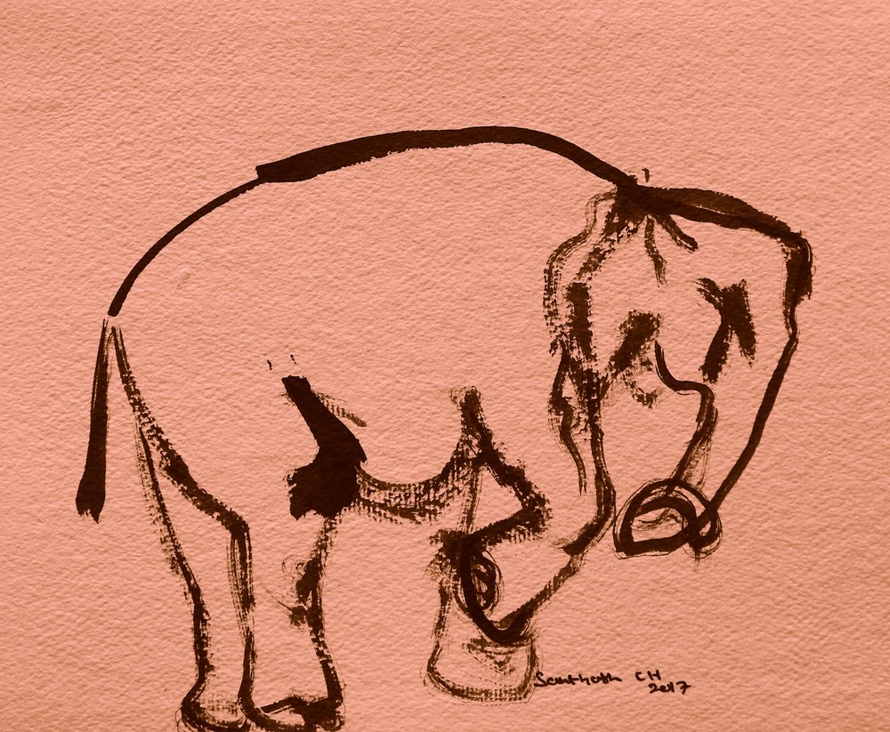 Inkttekening van een olifant door Santhosh ch