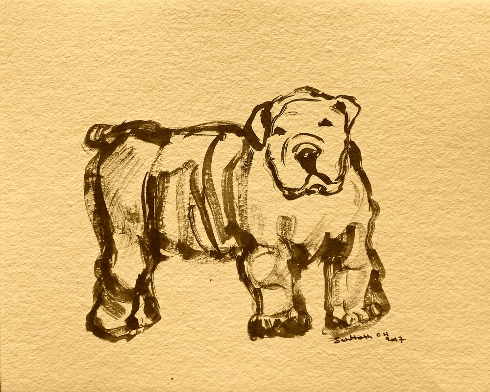 Expressieve buldogschets door Santhosh ch
