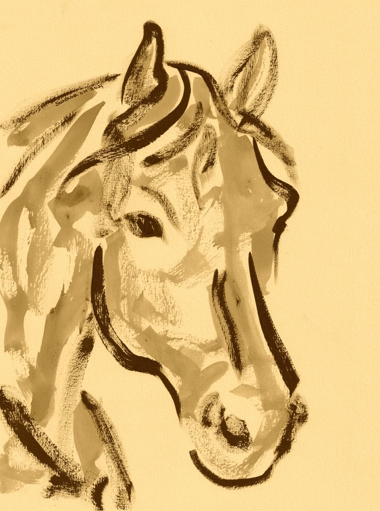 Expressief paardenportret door Santhosh ch