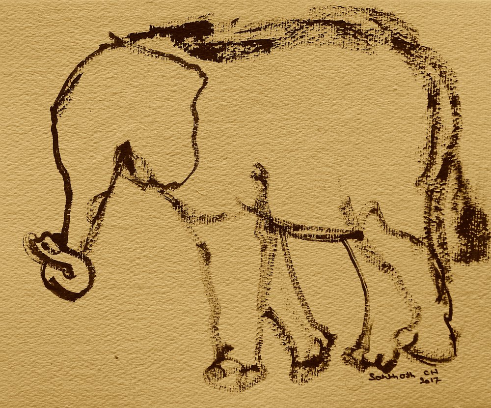 Zachte olifantenschets door Santhosh ch
