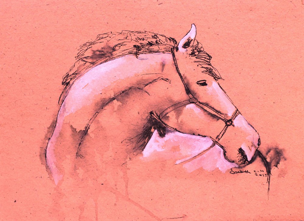 Sierlijke paardenschets door Santhosh ch