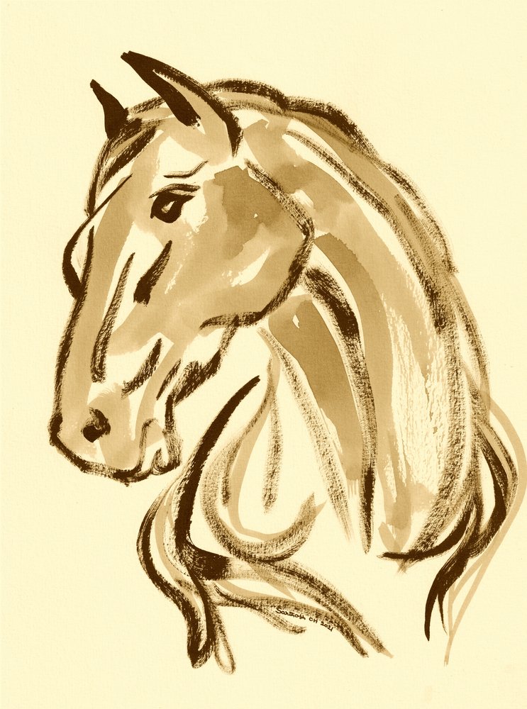 Majestueus paardenportret door Santhosh ch