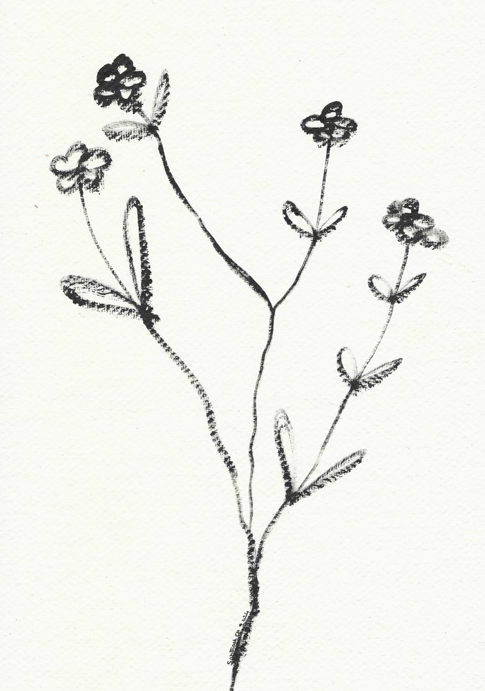 Minimalistische botanische tekening door Santhosh ch