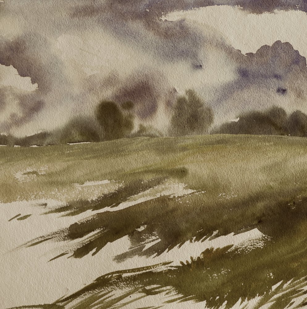 Moody Field onder onweerswolken door Santhosh ch