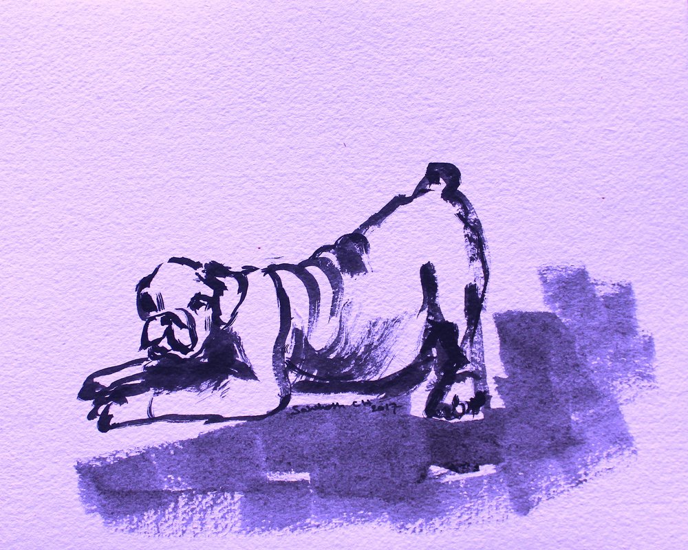Speelse bulldogrek door Santhosh ch