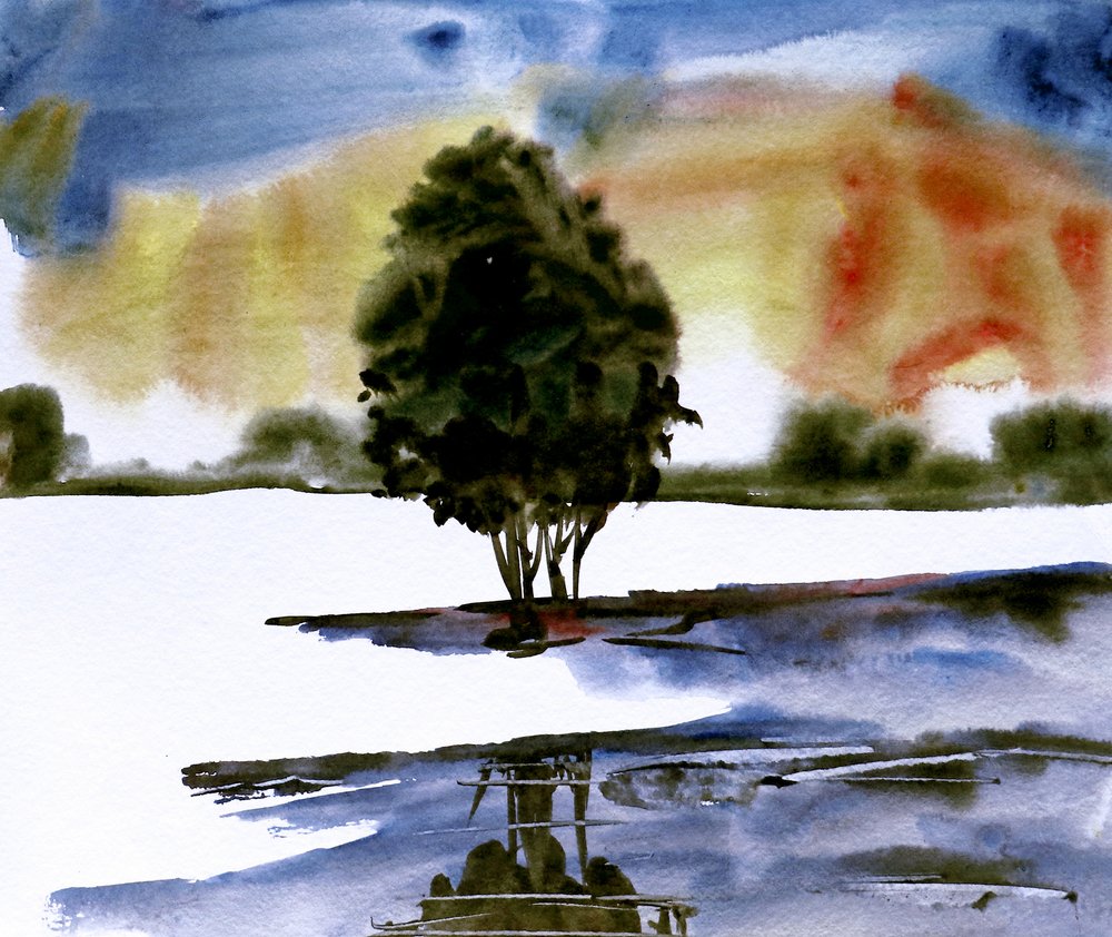 Weerspiegeling van een boom bij zonsondergang door Santhosh ch