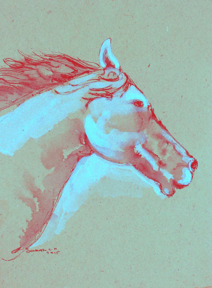 Levendige paardenkop door Santhosh ch