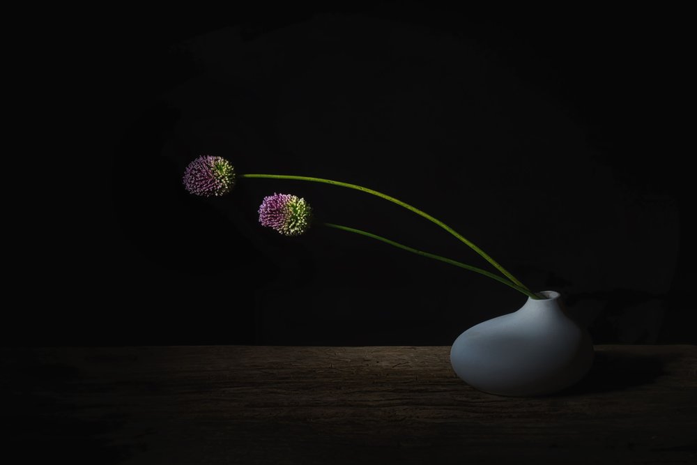 Donkere Allium-bloemen door Saskia Dingemans