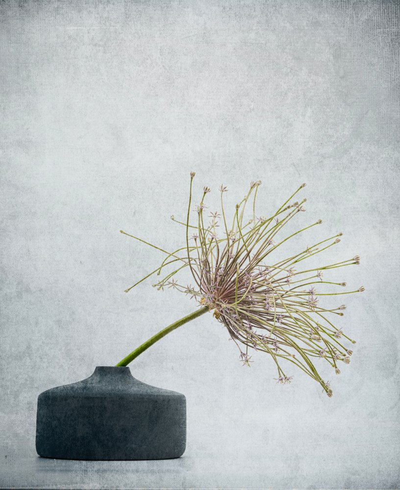 Verfijnd botanisch stilleven door Saskia Dingemans