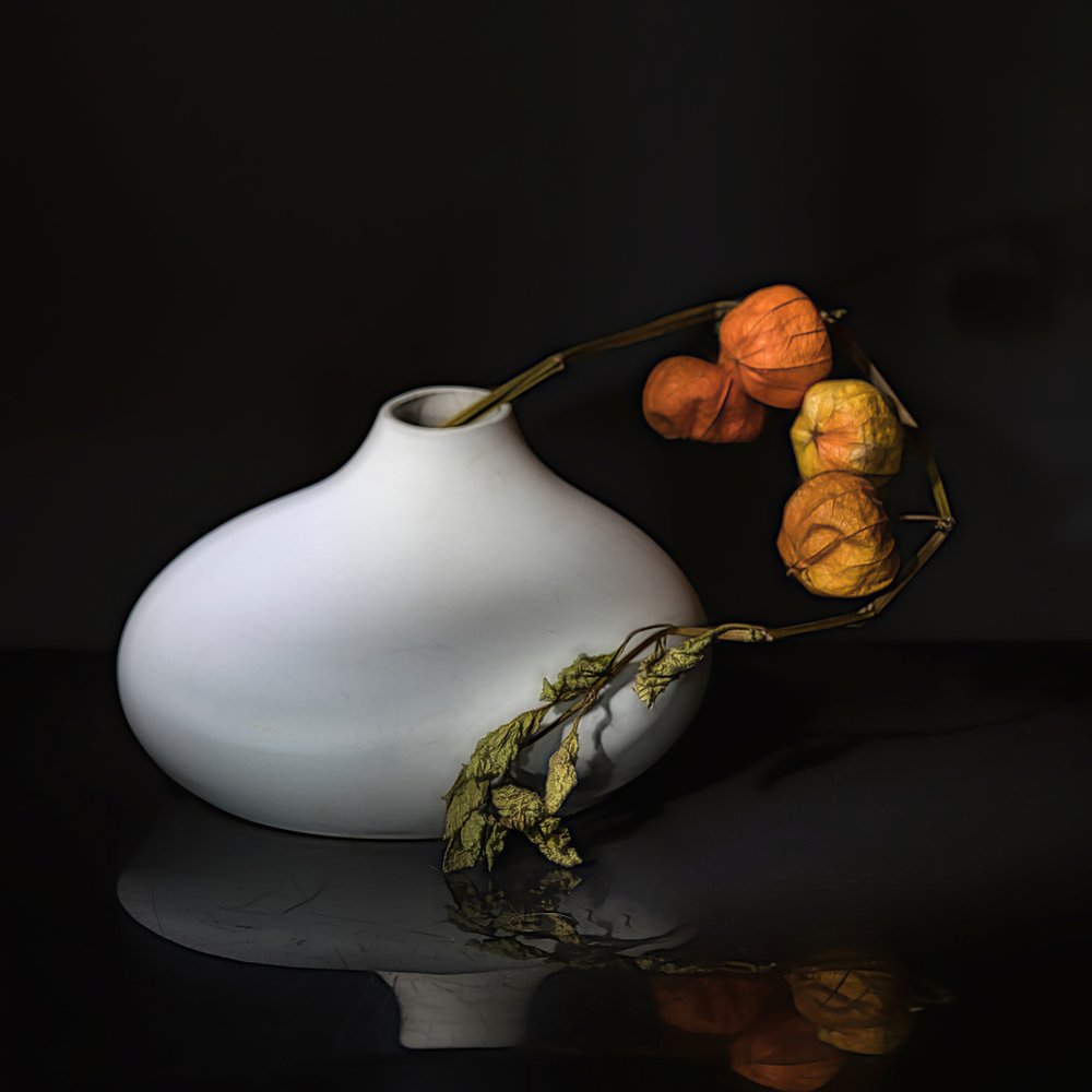 Elegant stilleven met physalis door Saskia Dingemans