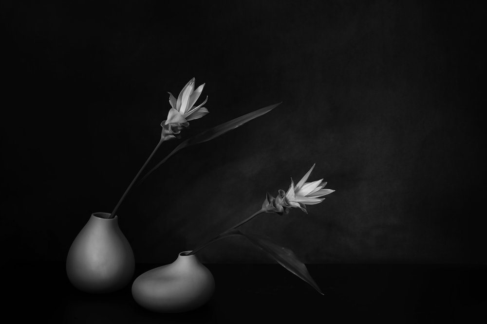 Monochrome bloemenrust door Saskia Dingemans