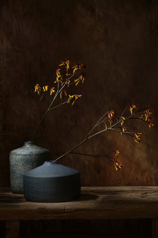 Moody botanische vazen door Saskia Dingemans
