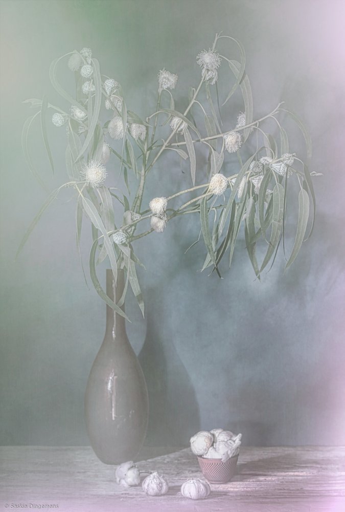 Wintergloed. door Saskia Dingemans