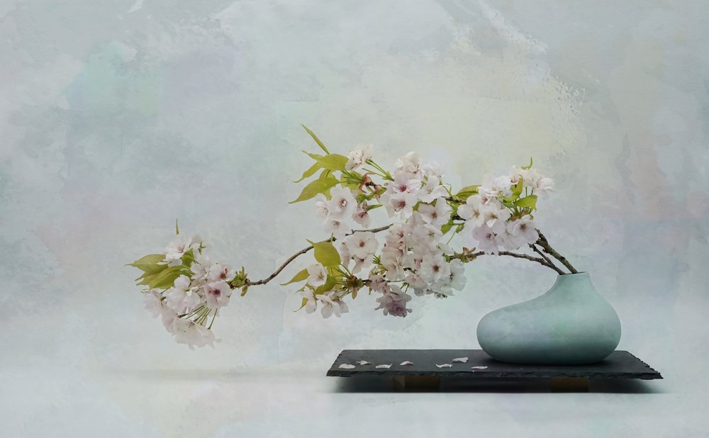 Zen Blossom - Stilleven door Saskia Dingemans