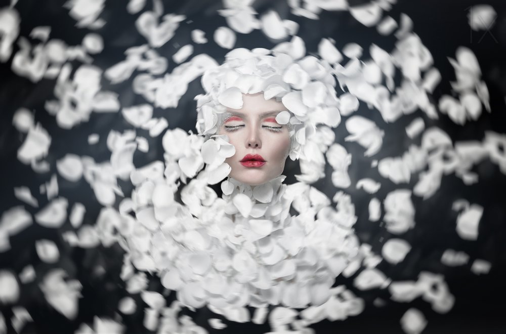  door See Plus