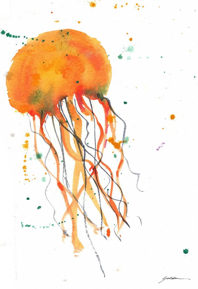 Oranje aquarelkwal door Sheila Golden