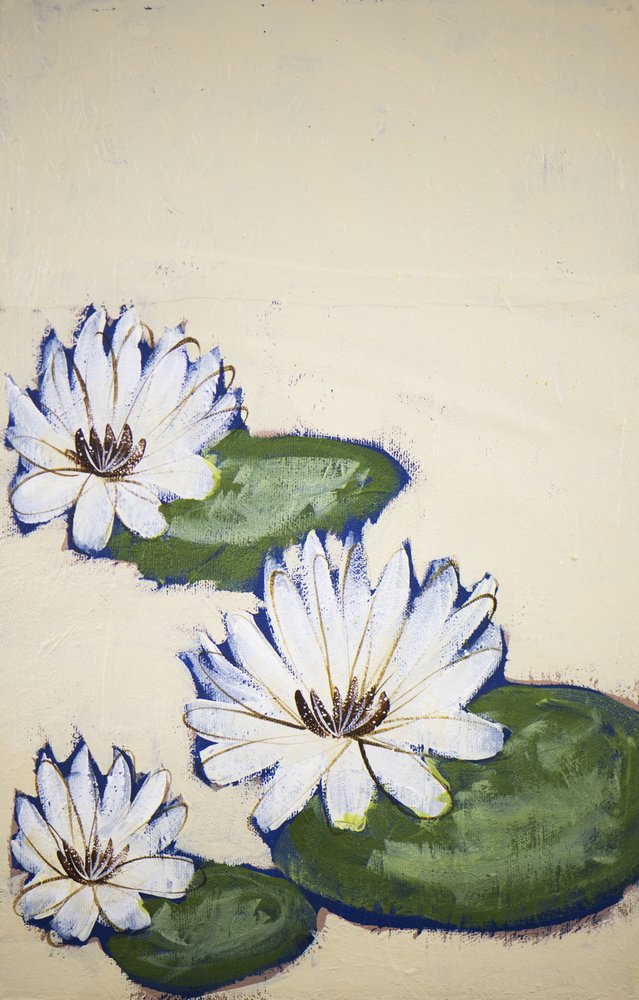 Witte waterlelies door Shelley Hampe