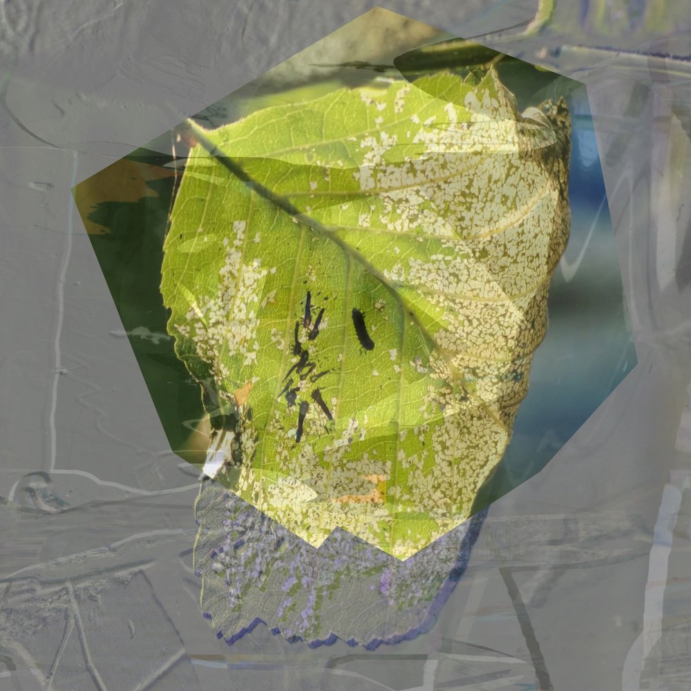 Abstract Groen blad door Stefan Fransson