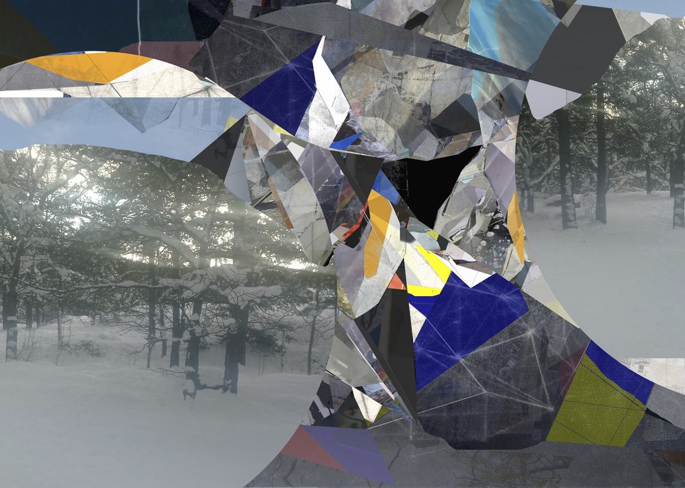 Gebroken winterlandschap door Stefan Fransson