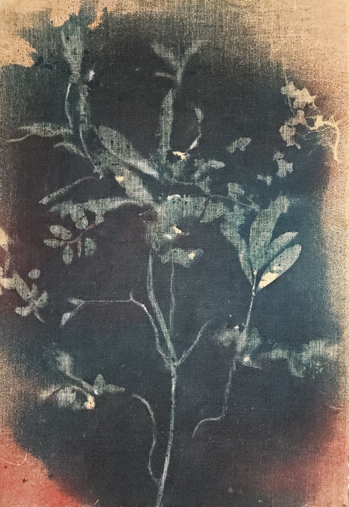 Vervaagd blauw botanisch motief door Stefano Mazzolini