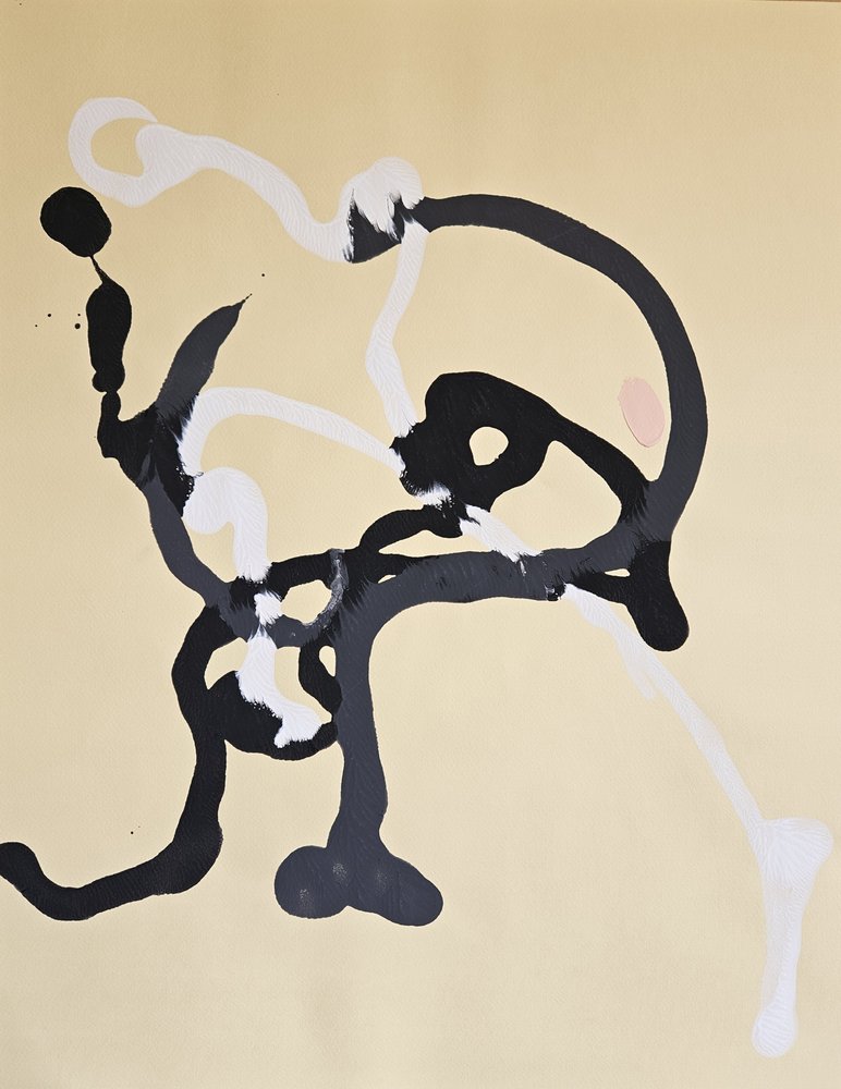 Vloeiende abstracte lijnen door Stefano Mazzolini