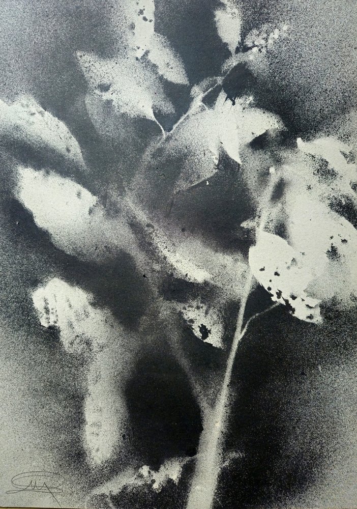 Monochrome botanische studie door Stefano Mazzolini