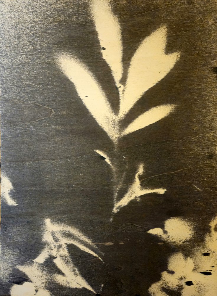 Scherp botanisch silhouet door Stefano Mazzolini