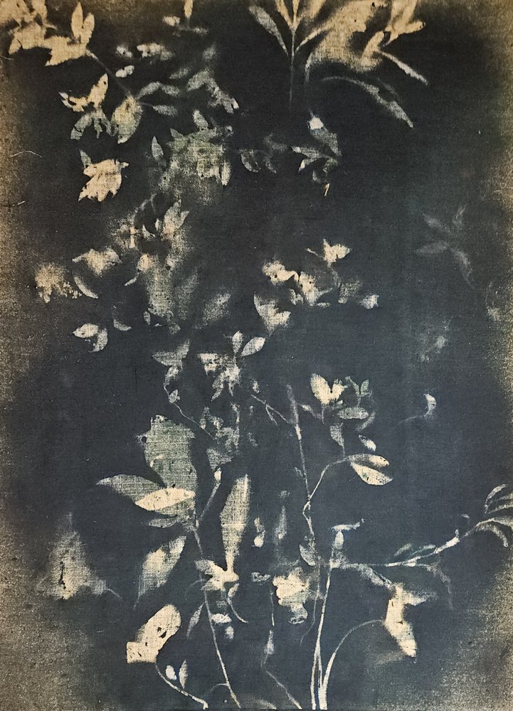 Vintage botanische bladeren door Stefano Mazzolini