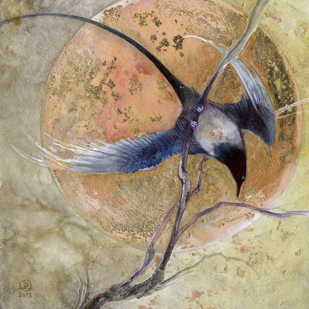  door Stephanie Law