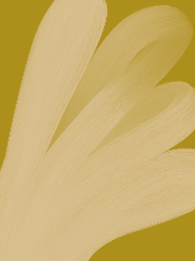  door Studio Palette