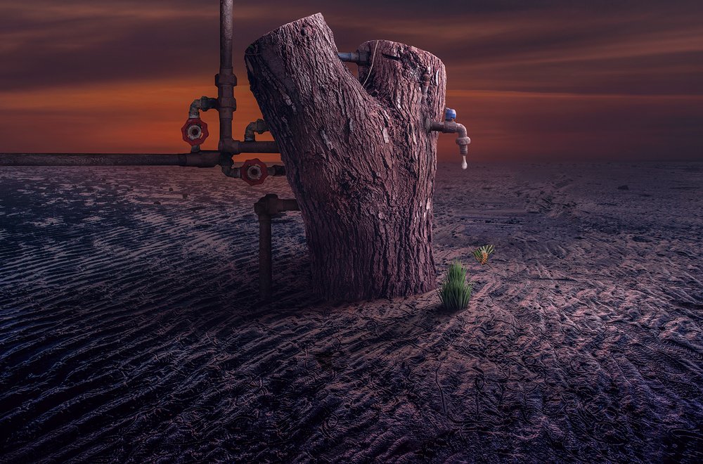  door Sulaiman Almawash