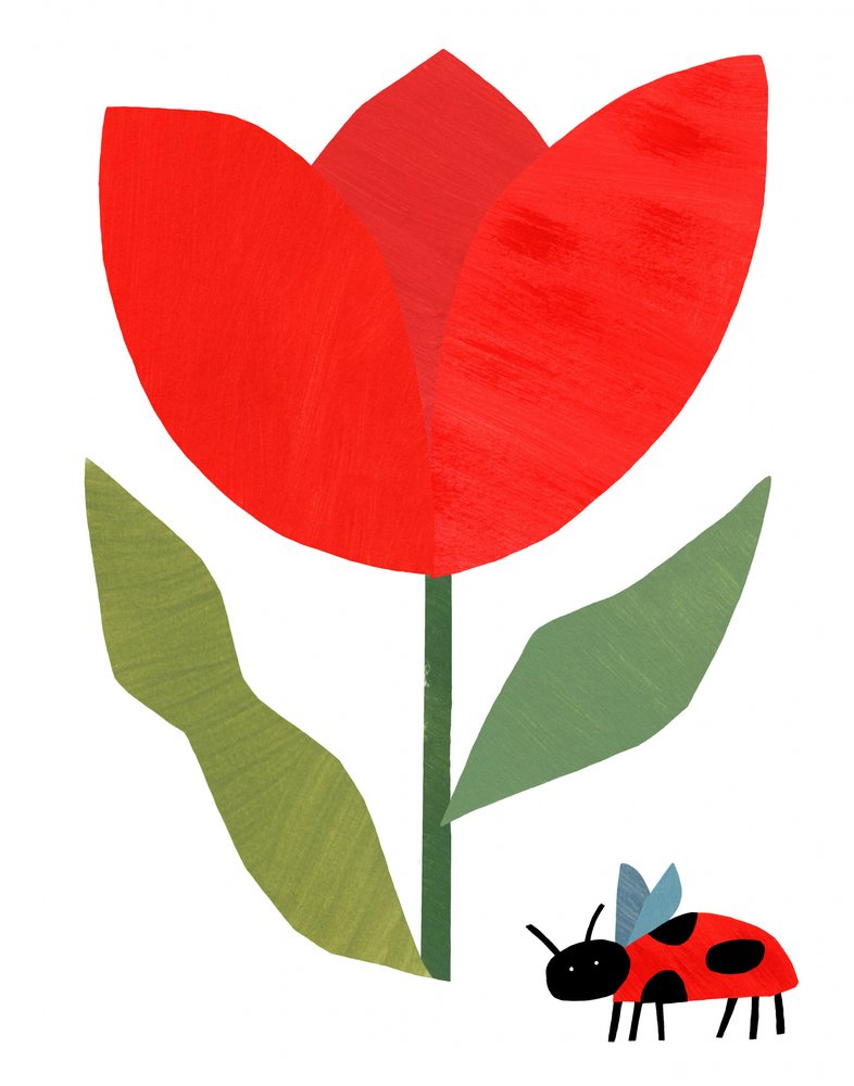 Rode tulp en lieveheersbeestje door Susan Black