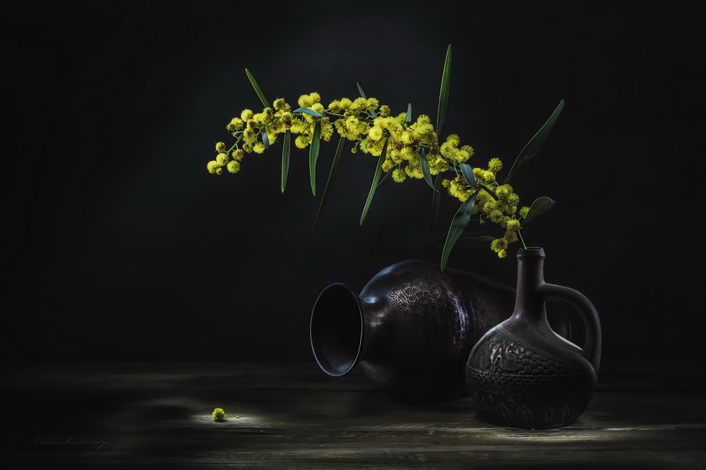  door Vadim Kulinsky
