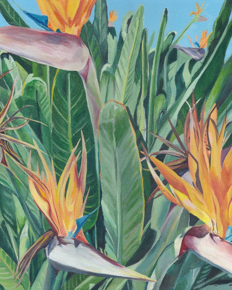 Paradijsvogelbloemen door Viccy Wanliss
