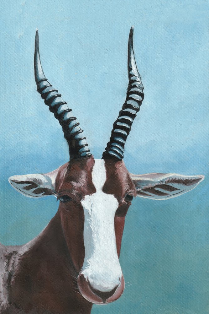 De blik van de blesbok door Viccy Wanliss