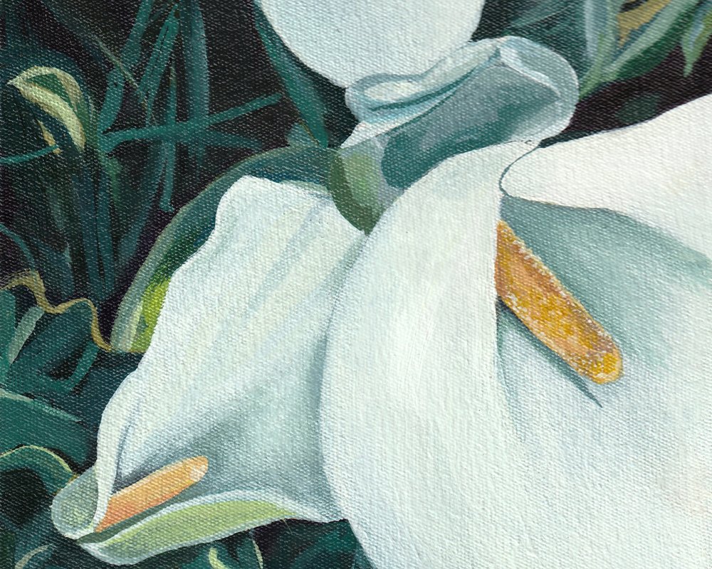Elegante witte lelies door Viccy Wanliss
