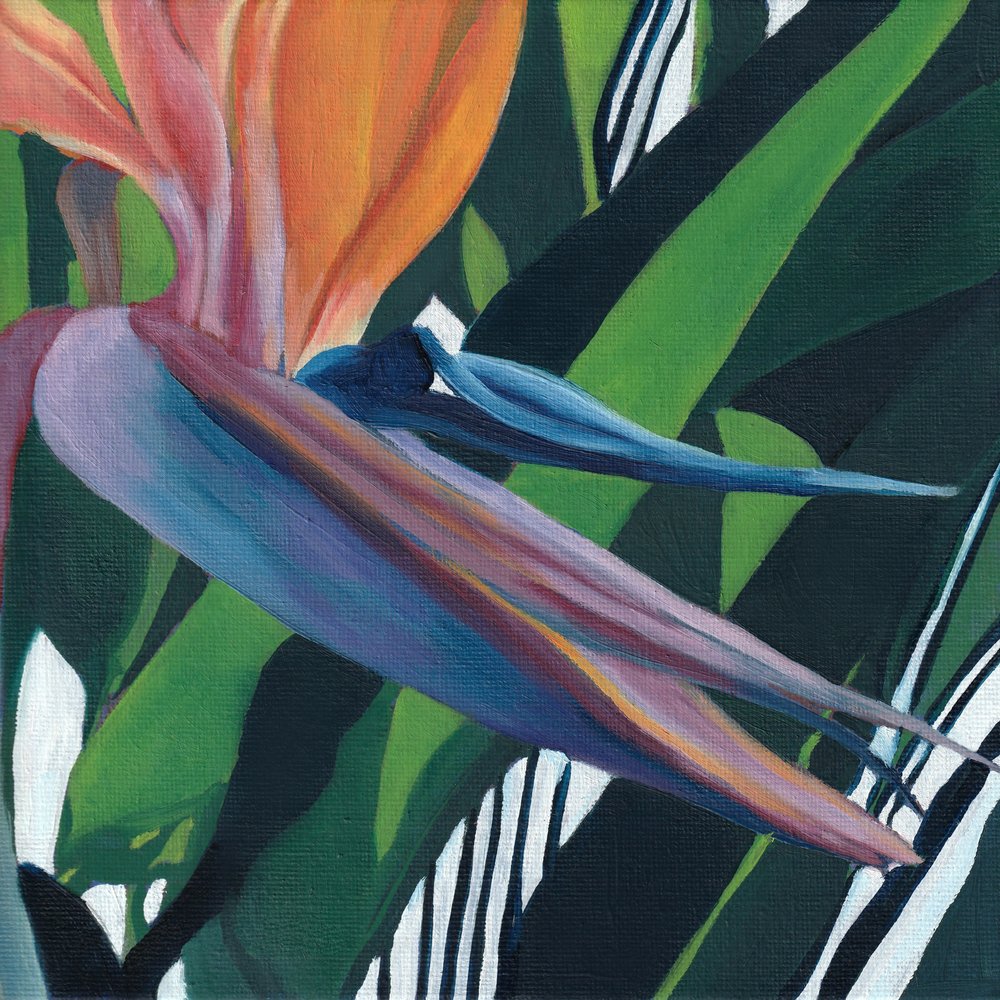 Levendige paradijsvogel door Viccy Wanliss