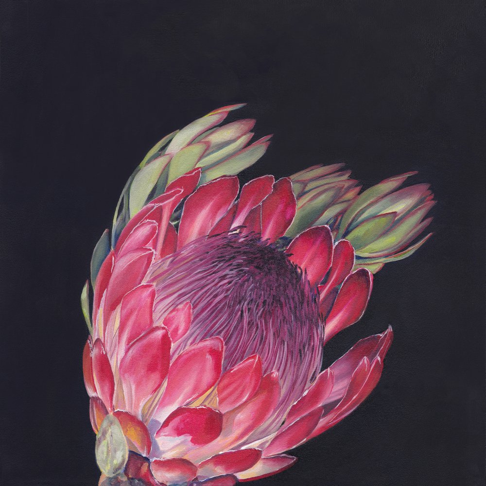 Levendig roze protea door Viccy Wanliss