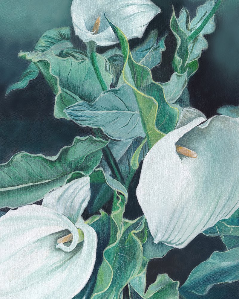 Witte calla