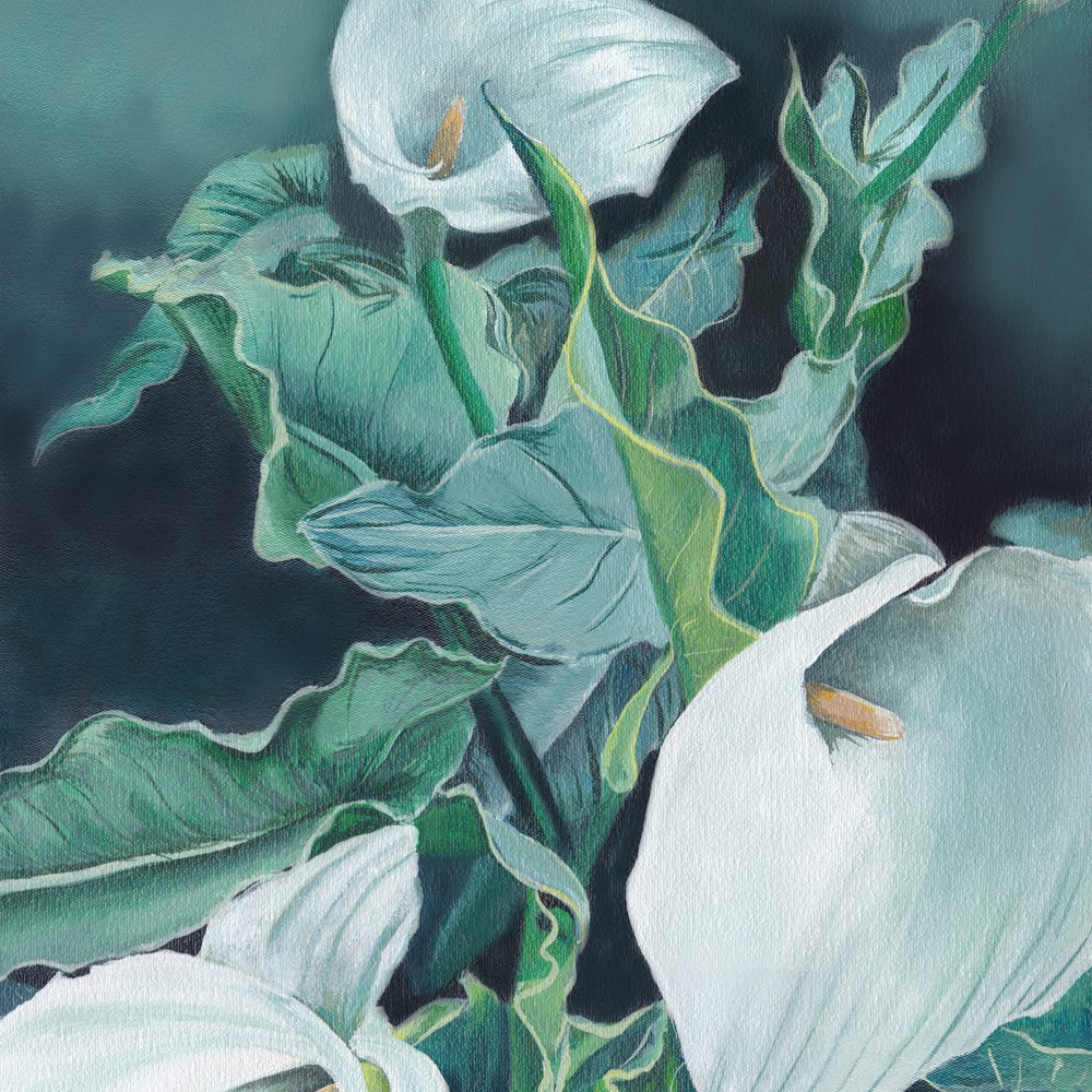 Witte calla