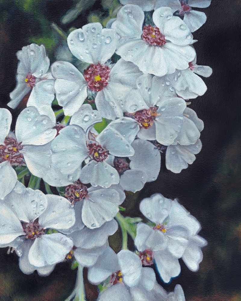 Witte bloemen met dauwdruppels door Viccy Wanliss