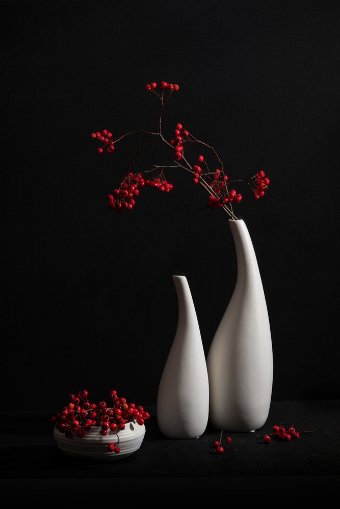 Elegant stilleven met bessen door Xiaoyuan Xu