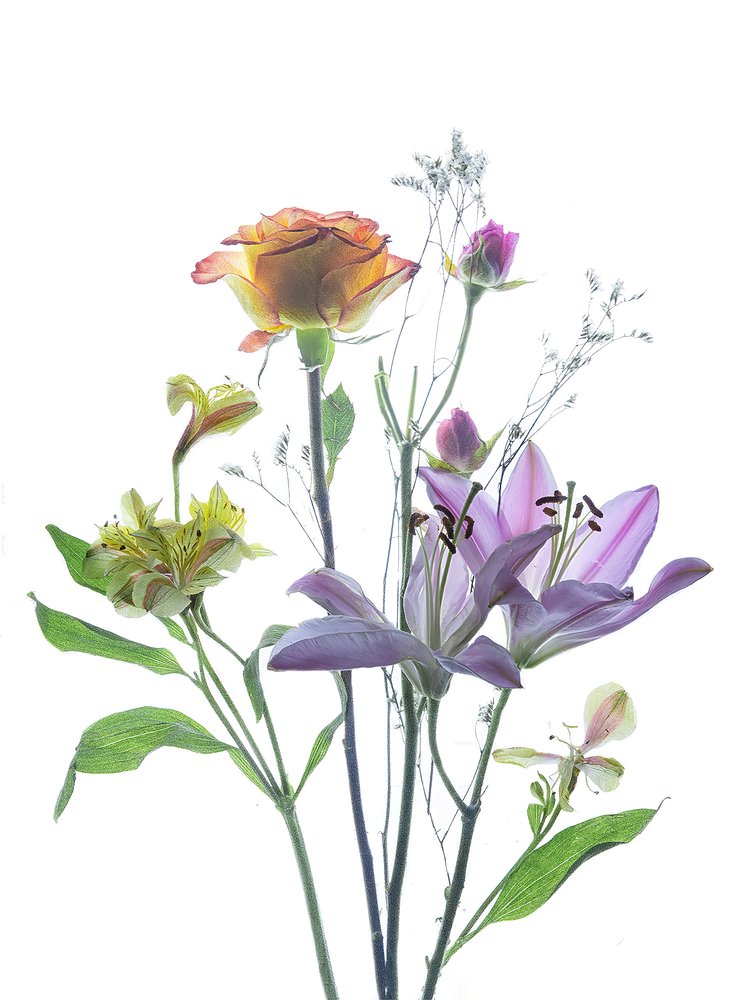 Doorschijnende bloemenschoonheid door Yun Thwaits