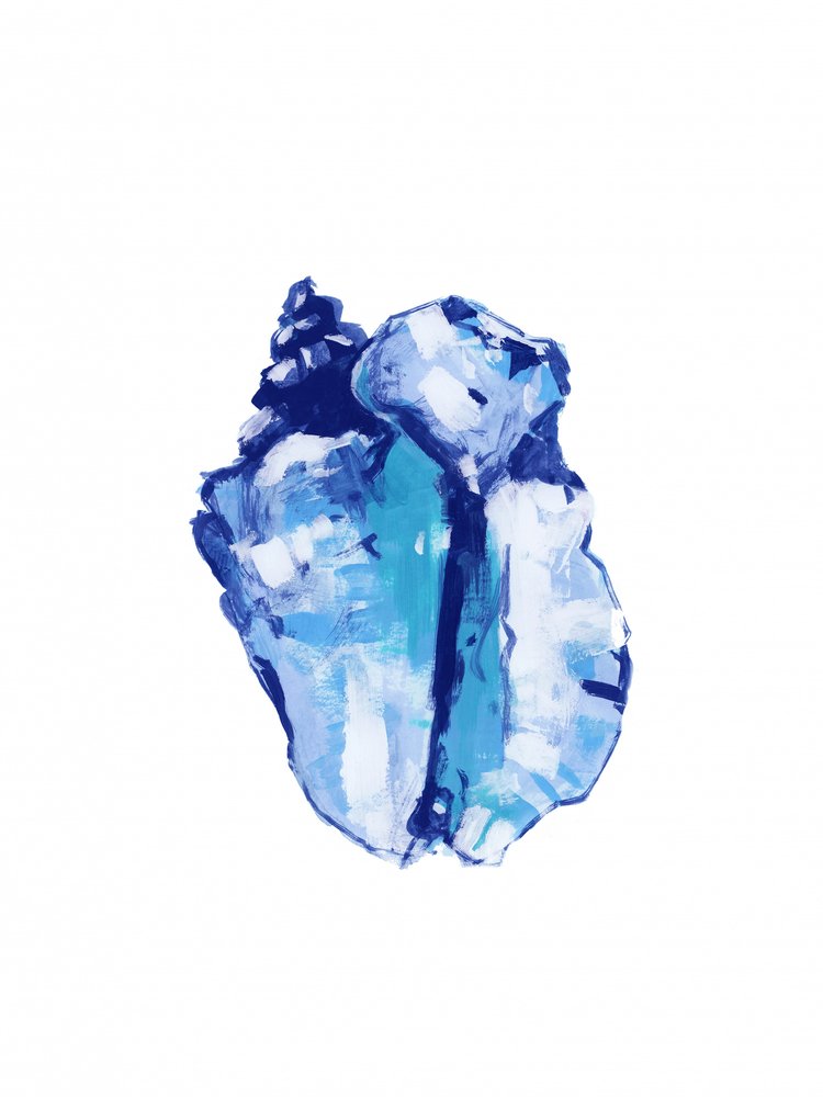 Abstracte blauwe schelp door cartissi