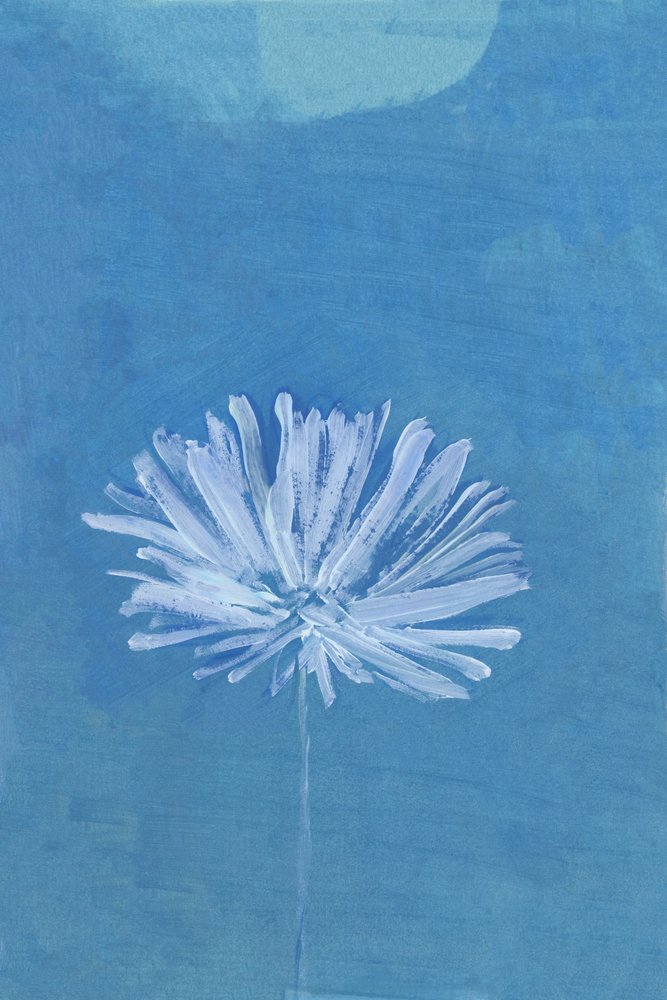 Blauwe maanbloem door cartissi