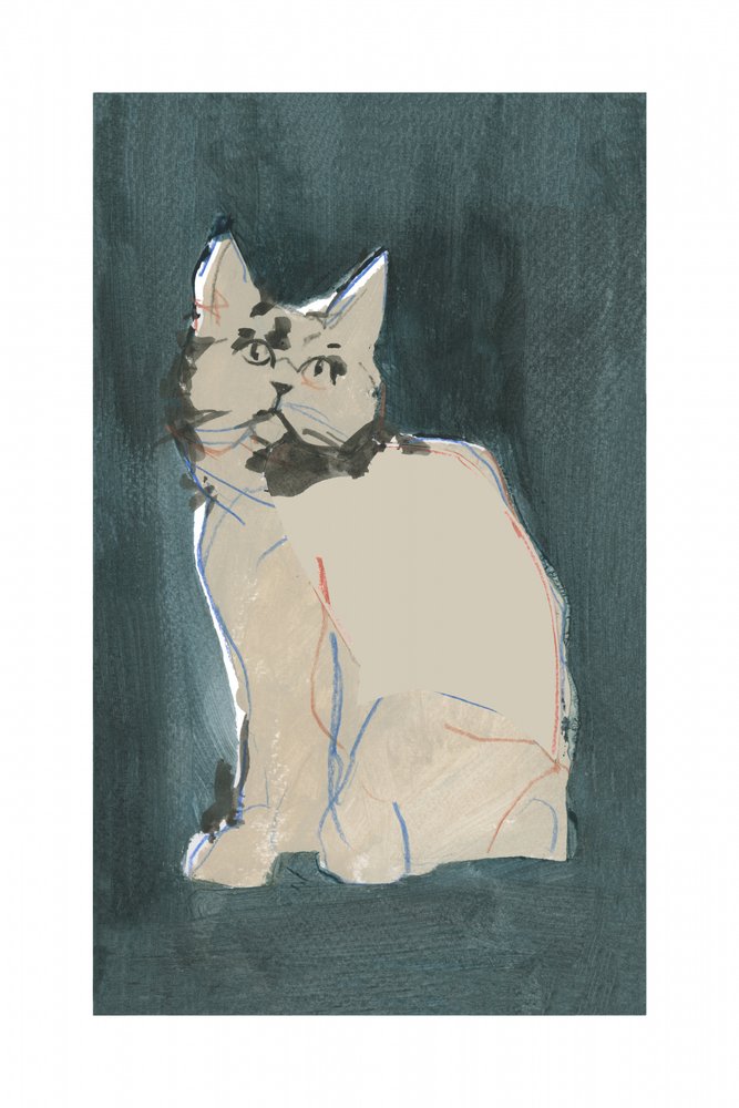 De nieuwsgierige blik van een kat door cartissi